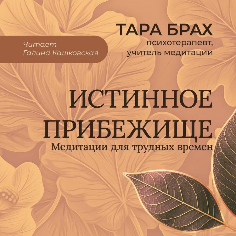 Produktbild: Istinnoe pribezhische. Meditatsii dlya trudnyh vremen