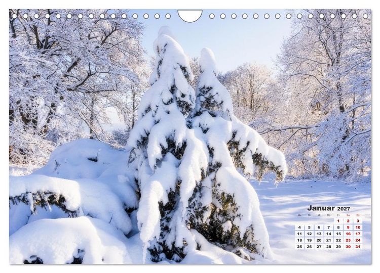 Produktbild: Waldspazierg&auml;nge: Entspannen - Kraft tanken - Besinnen auf sich selbst (Wandkalender 2027 DIN A4 quer), CALVENDO Monatskalender