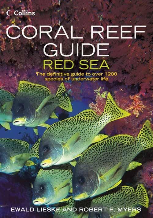 Produktbild: Coral Reef Guide Red Sea