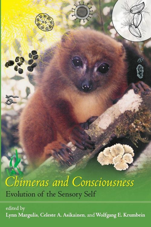 Produktbild: Chimeras and Consciousness