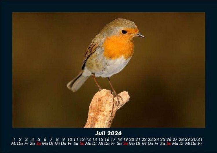 Produktbild: Vogelparadies 2026 Fotokalender DIN A5