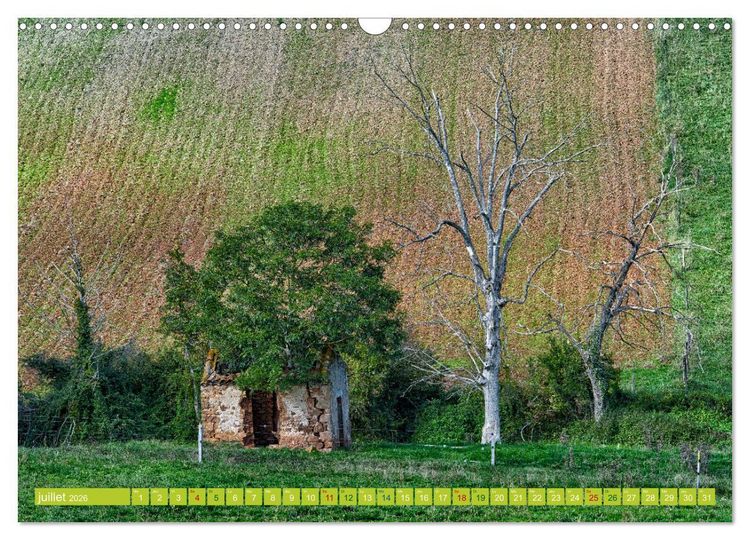 Produktbild: Solitude verdoyante (Calendrier mural 2026 DIN A3 vertical), CALVENDO calendrier mensuel