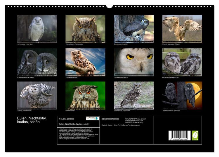 Produktbild: Eulen. Nachtaktiv, lautlos, sch&ouml;n (hochwertiger Premium Wandkalender 2026 DIN A2 quer), Kunstdruck in Hochglanz