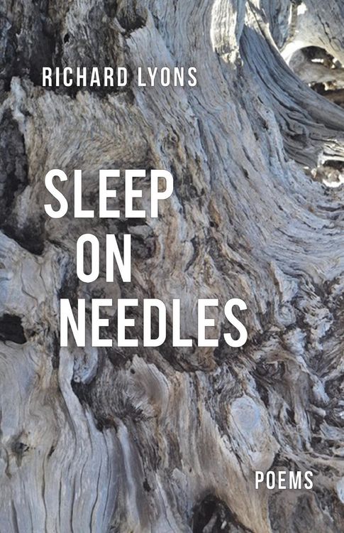 Produktbild: Sleep on Needles