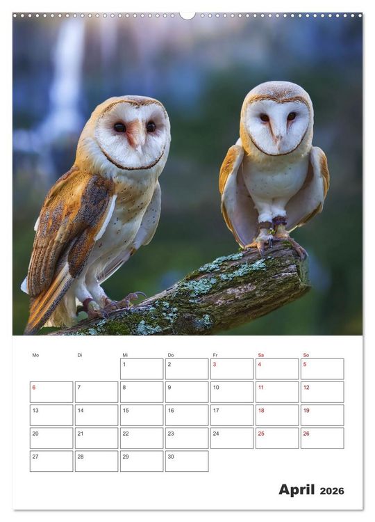 Produktbild: Eulen und K&auml;uze - Diese Wesen der Nacht (Wandkalender 2026 DIN A2 hoch), CALVENDO Monatskalender