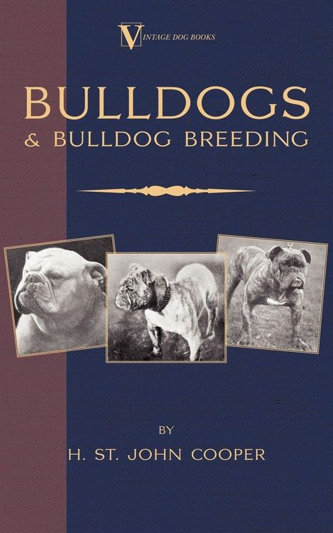 Produktbild: Bulldogs and Bulldog Breeding (A Vintage Dog Books Breed Classic)