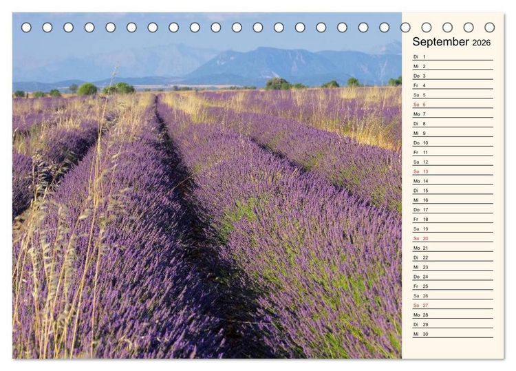 Produktbild: Lavendel (Tischkalender 2026 DIN A5 quer), CALVENDO Monatskalender
