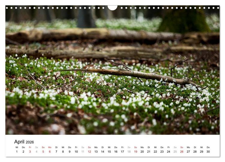 Produktbild: R&uuml;gen (Wandkalender 2026 DIN A3 quer), CALVENDO Monatskalender