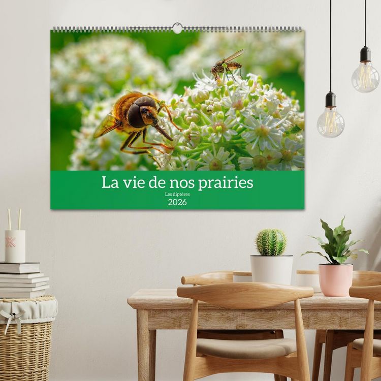 Produktbild: La vie de nos prairies - Les dipt&egrave;res (Calendrier mural 2026 DIN A2 vertical), CALVENDO calendrier mensuel