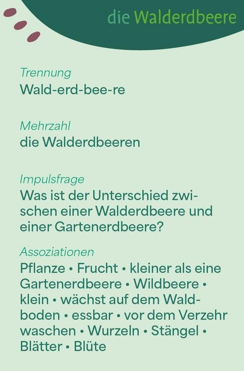 Produktbild: Wortschatzk&auml;rtchen: Im Wald