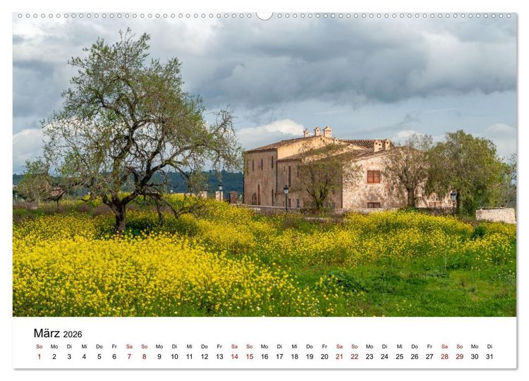 Produktbild: B&auml;ume - Wunder der Natur (hochwertiger Premium Wandkalender 2026 DIN A2 quer), Kunstdruck in Hochglanz