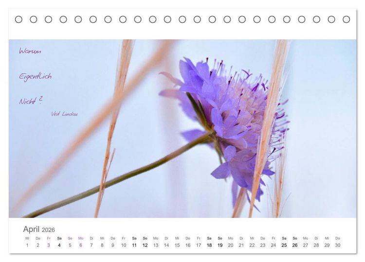 Produktbild: Rendezvous im Park (Tischkalender 2026 DIN A5 quer), CALVENDO Monatskalender