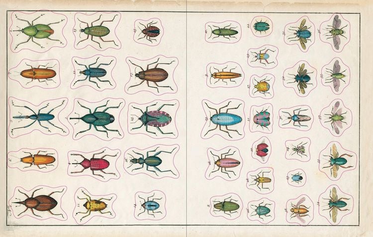 Produktbild: John Derian Sticker Book