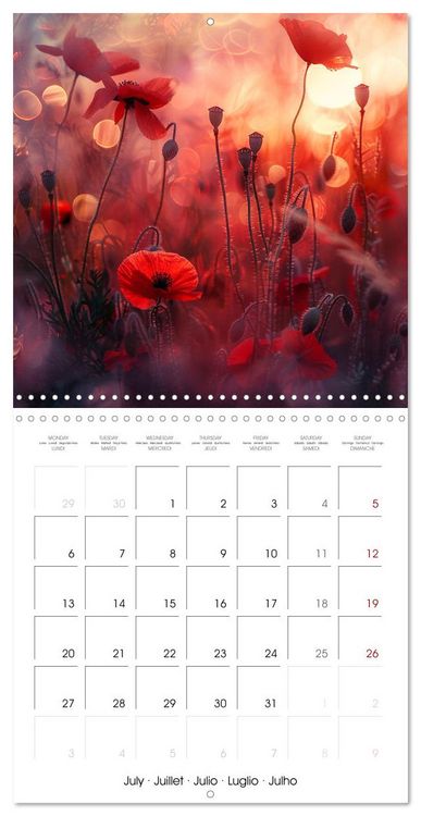 Produktbild: Magical Poppies (Wall Calendar 2026 12 &times; 12 Inch) CALVENDO 12 Month Wall Calendar
