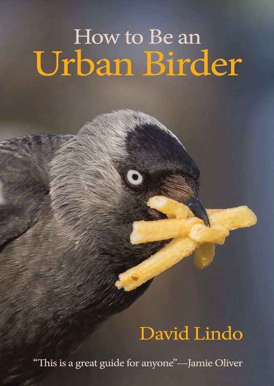 Produktbild: How to Be an Urban Birder