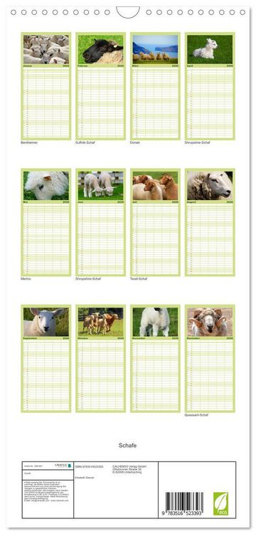 Produktbild: Familienplaner 2026 - Schafe mit 5 Spalten (Wandkalender, 21 x 45 cm) CALVENDO
