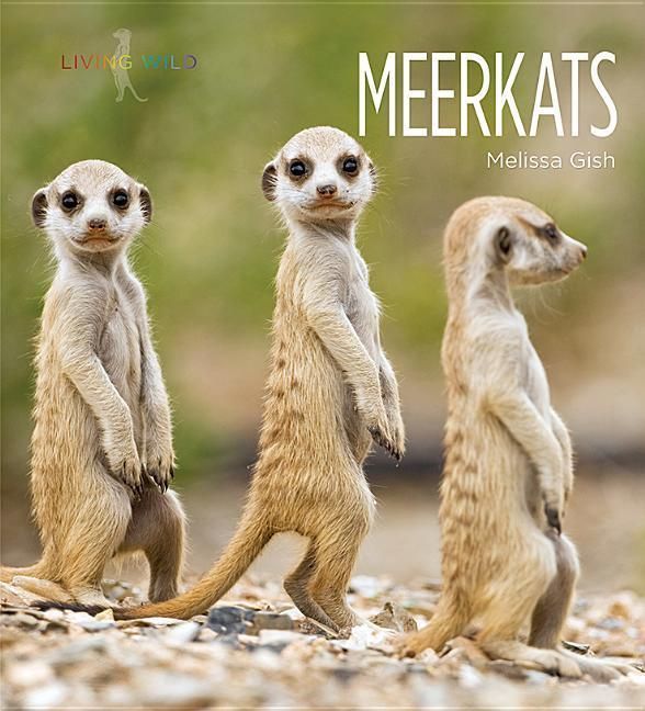 Produktbild: Meerkats