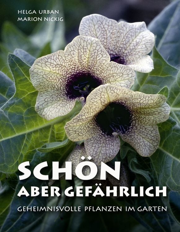 Produktbild: Sch&ouml;n, aber gef&auml;hrlich