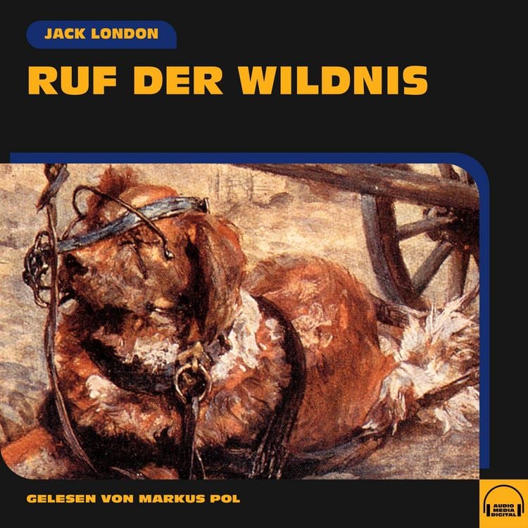 Produktbild: Ruf der Wildnis