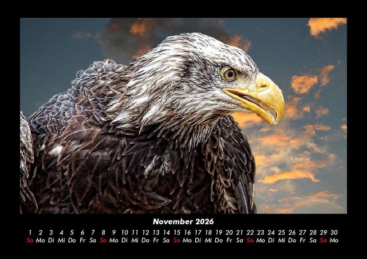 Produktbild: Adler 2026 Fotokalender DIN A3
