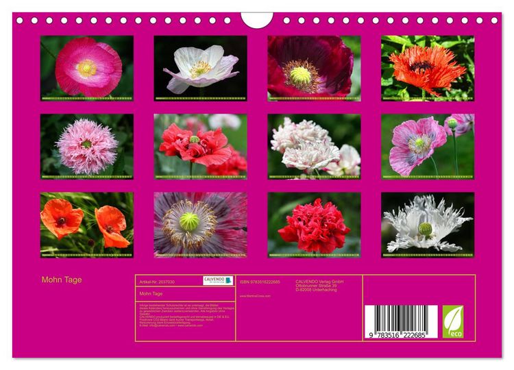 Produktbild: Mohn Tage (Wandkalender 2026 DIN A4 quer), CALVENDO Monatskalender