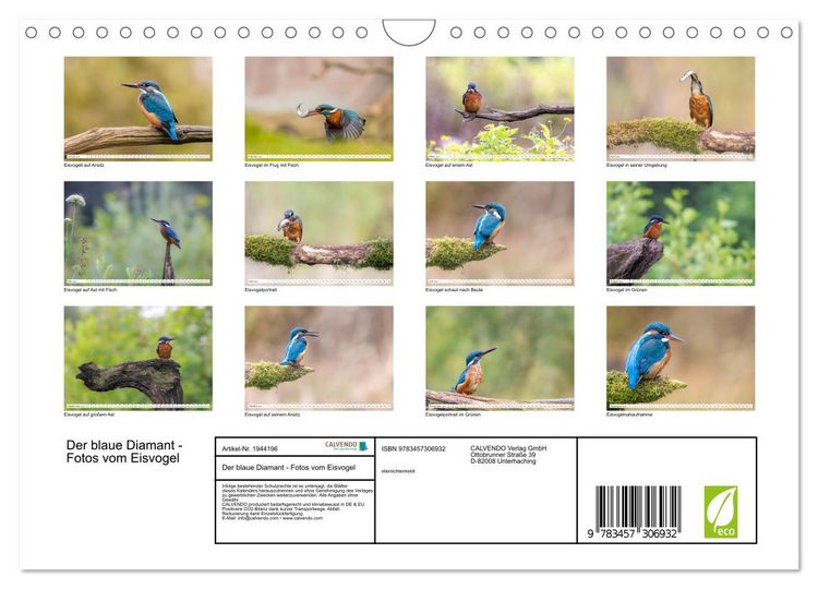 Produktbild: Der blaue Diamant - Fotos vom Eisvogel (Wandkalender 2026 DIN A4 quer), CALVENDO Monatskalender