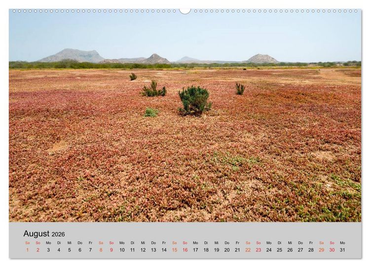 Produktbild: Boa Vista - Perle der Kapverden (hochwertiger Premium Wandkalender 2026 DIN A2 quer), Kunstdruck in Hochglanz