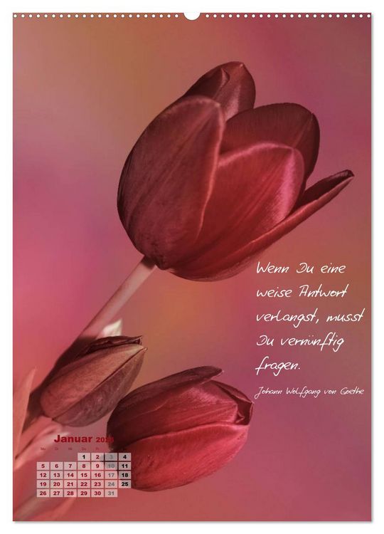 Produktbild: Blumen & Zitate (Wandkalender 2026 DIN A2 hoch), CALVENDO Monatskalender