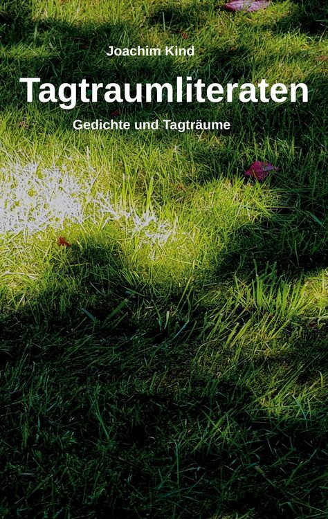 Produktbild: Tagtraumliteraten