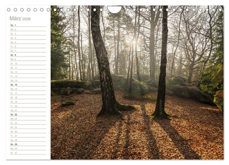 Produktbild: Der Sonne entgegen &ndash; Elbsandstein (Wandkalender 2026 DIN A4 quer), CALVENDO Monatskalender
