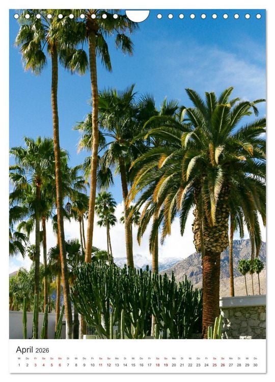 Produktbild: Palm Springs - Immer der Sonne nach. (Wandkalender 2026 DIN A4 hoch), CALVENDO Monatskalender
