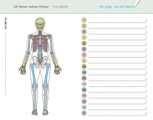 Produktbild: Ich kenne meinen K&ouml;rper - Das Skelett