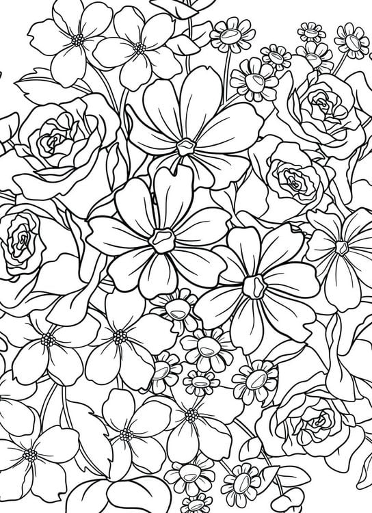 Produktbild: Colorful World Designdose mit 12 Buntstiften