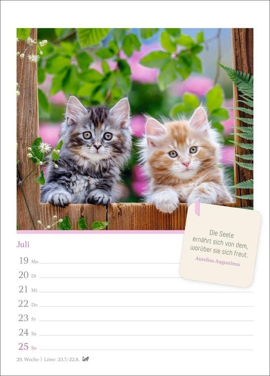 Produktbild: Katzengl&uuml;ck Wochenkalender 2027 - mit Zitaten
