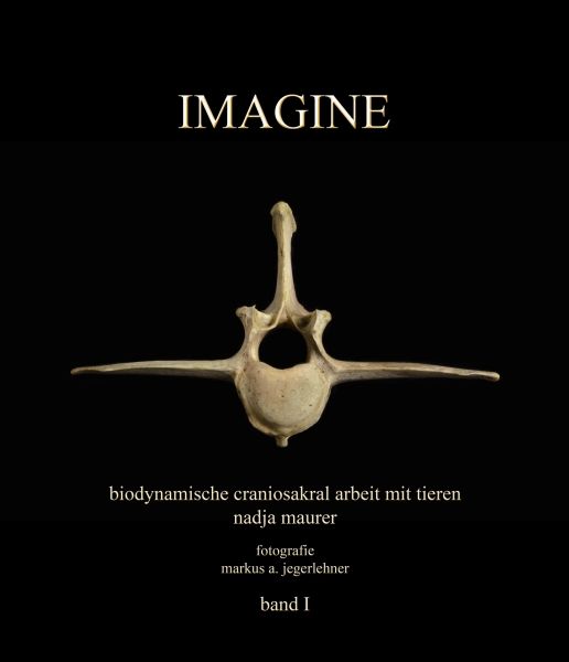 Produktbild: Imagine Band 1