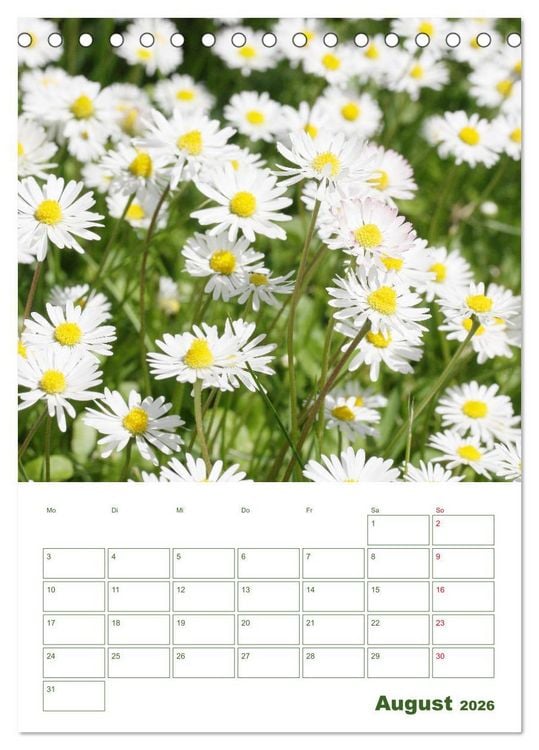 Produktbild: Wei&szlig;e Bl&uuml;ten im Gr&uuml;nen (Tischkalender 2026 DIN A5 hoch), CALVENDO Monatskalender