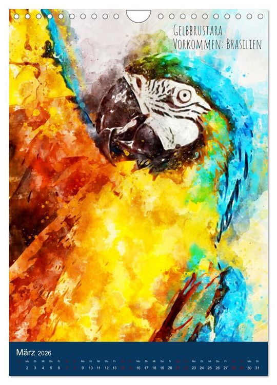 Produktbild: Exotische V&ouml;gel - Die Sch&ouml;nsten der Welt in Aquarell (Wandkalender 2026 DIN A4 hoch), CALVENDO Monatskalender