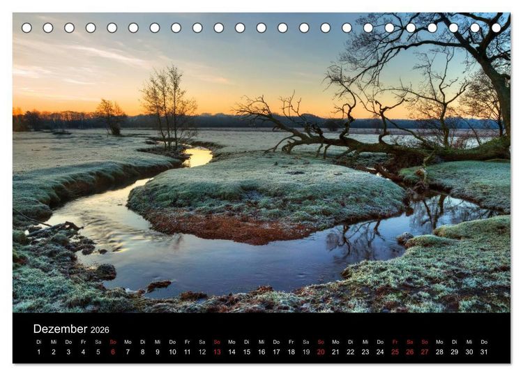 Produktbild: New Forest - England (Tischkalender 2026 DIN A5 quer), CALVENDO Monatskalender