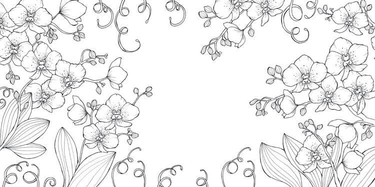 Produktbild: Bl&uuml;tentraum &ndash; Florale Motive ausmalen