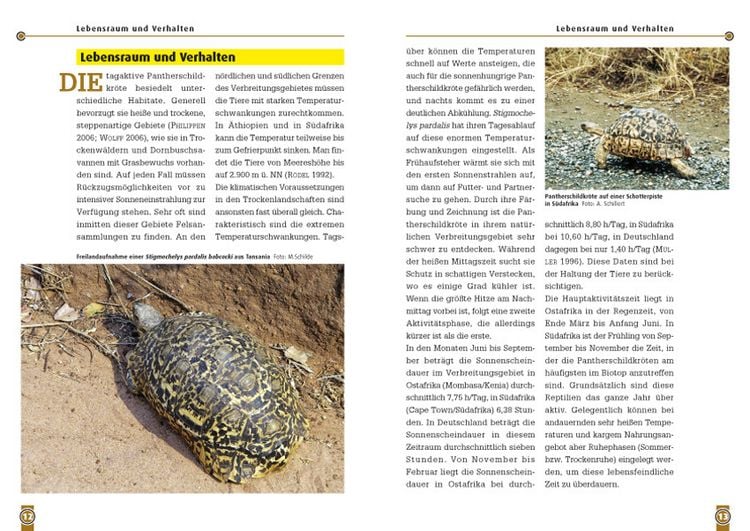 Produktbild: Die Pantherschildkr&ouml;te