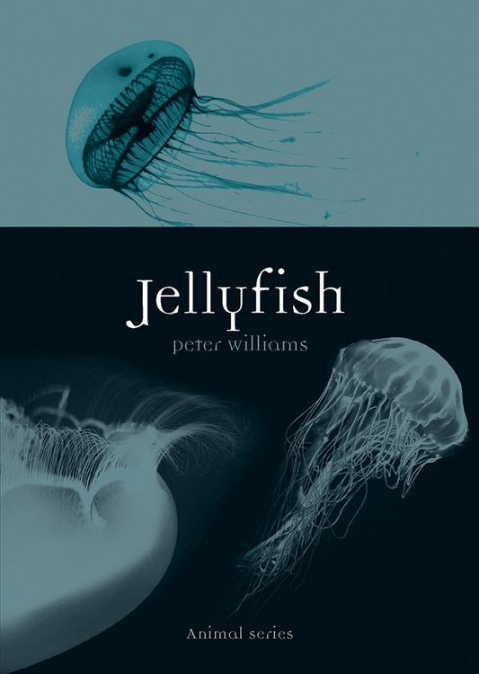 Produktbild: Jellyfish