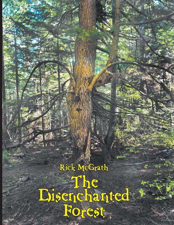 Produktbild: The Disenchanted Forest
