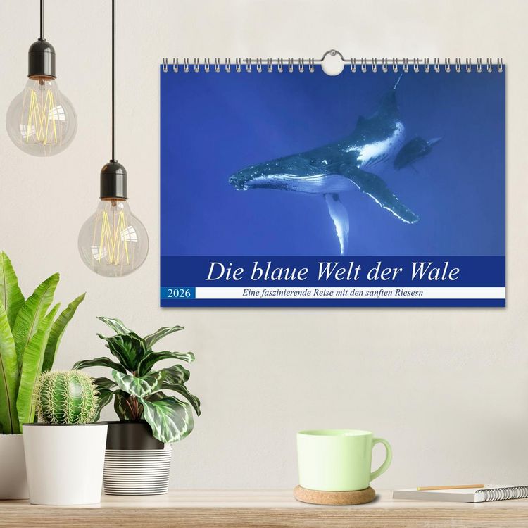 Produktbild: Die blaue Welt der Wale (Wandkalender 2026 DIN A4 quer), CALVENDO Monatskalender