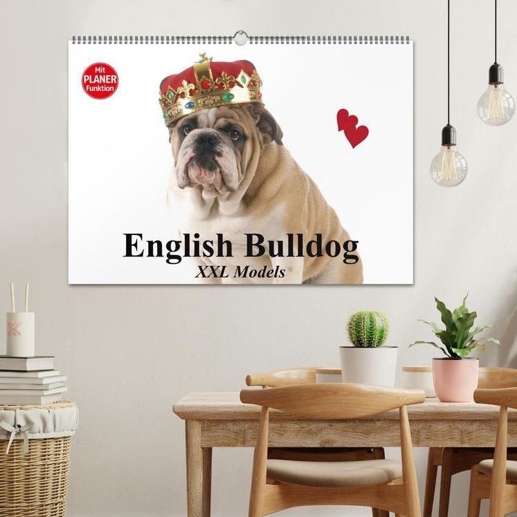Produktbild: English Bulldog XXL Models (Wandkalender 2026 DIN A2 quer), CALVENDO Monatskalender