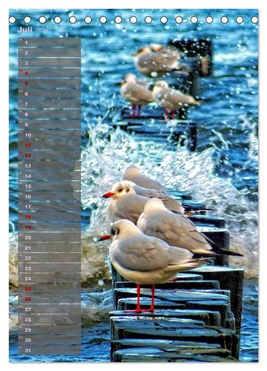 Produktbild: Ostsee Tour Deutschland - maritime Highlights (Tischkalender 2026 DIN A5 hoch), CALVENDO Monatskalender