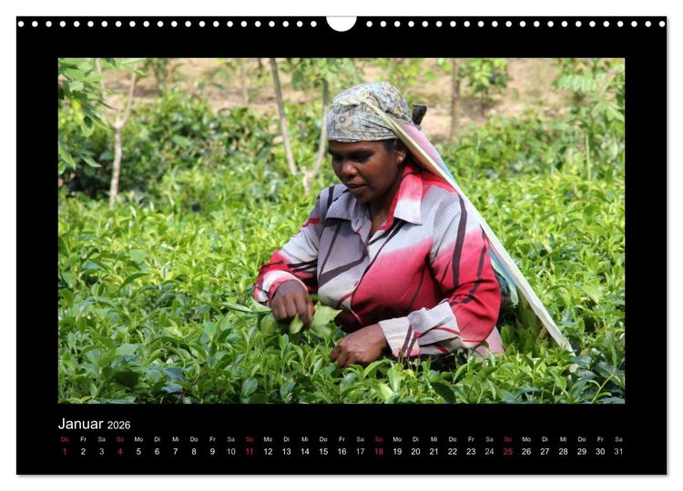 Produktbild: Sri Lanka Impressionen (Wandkalender 2026 DIN A3 quer), CALVENDO Monatskalender