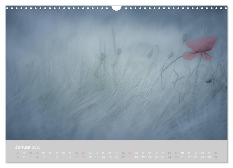 Produktbild: Zauber des Mohns (Wandkalender 2026 DIN A3 quer), CALVENDO Monatskalender