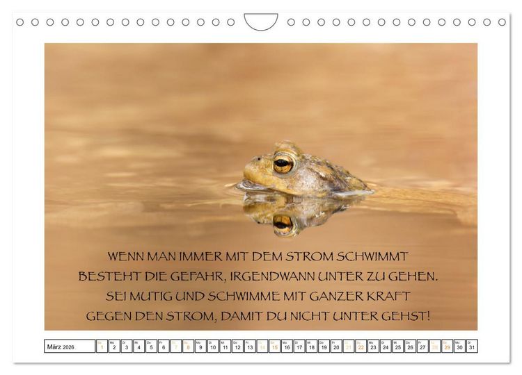 Produktbild: Spruch verliebt (Wandkalender 2026 DIN A4 quer), CALVENDO Monatskalender