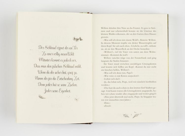 Produktbild: Ein M&auml;dchen namens Willow 1: Ein M&auml;dchen namens Willow