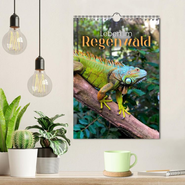 Produktbild: Leben im Regenwald (Wandkalender 2026 DIN A4 hoch), CALVENDO Monatskalender